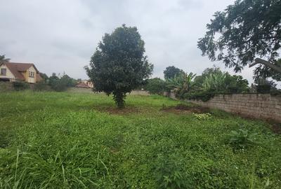 0.5 ac Land at Old Runda - 2