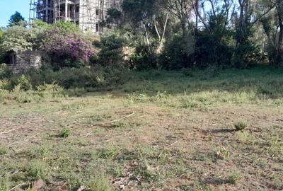 Land at Mayor Road - 4