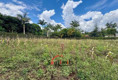 0.5 ac Residential Land in Runda - 3