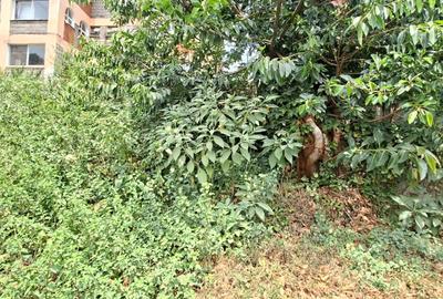 1.0 ac Land in Westlands Area - 3