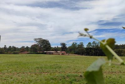 Land at Resurrection Garden