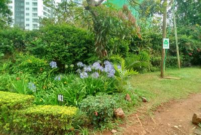 5 Bed House with Staff Quarters in Lavington