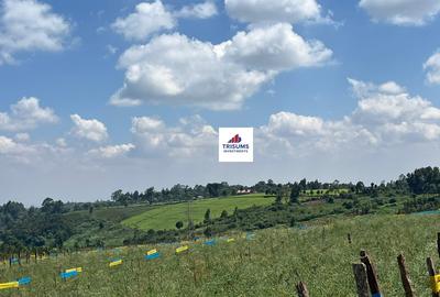 16.5 ac Land in Tigoni - 4