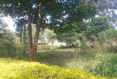 Residential Land at Runda Evergreen