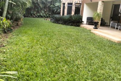 5 Bed Townhouse with En Suite in Kyuna