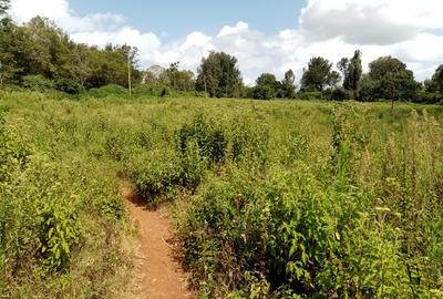 5 ac Land at Rhino Park Road - 4