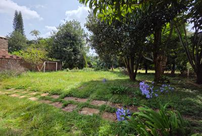 Land in Runda - 2