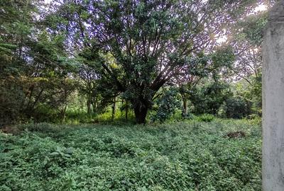 Residential Land at Ruaka Road