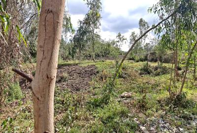 0.5 ac Land in Karen