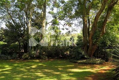 0.8 ac Land at Chalbi Drive - 4