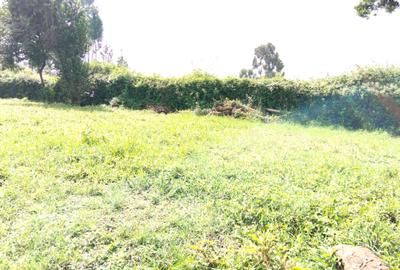 Commercial Land in Kinoo - 3
