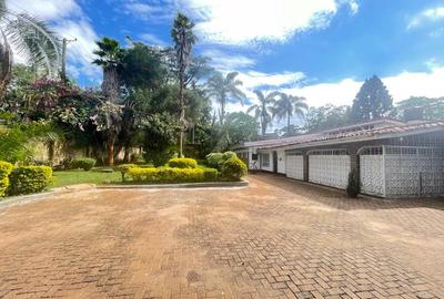 Commercial Property with Fibre Internet at Lavington