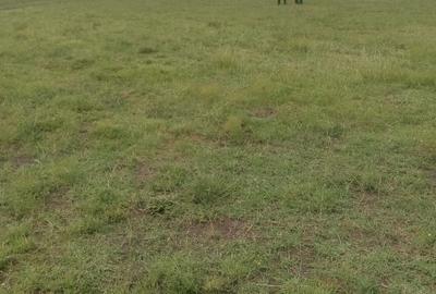 Land in Juja Farm