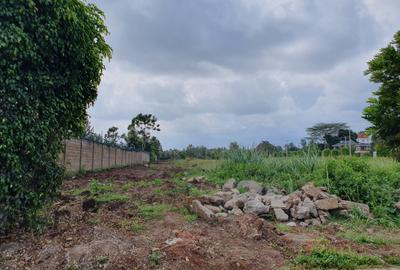 0.5 ac Residential Land at Mumwe Drive - 2