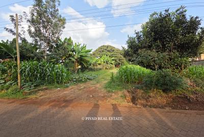 5 ac Land in Runda - 4