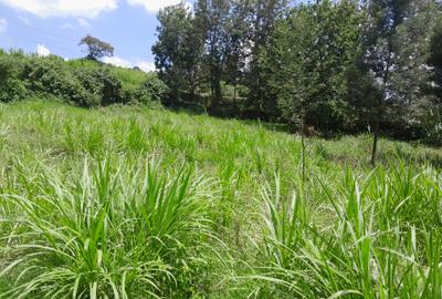 Residential Land at Kikuyu Ondiri