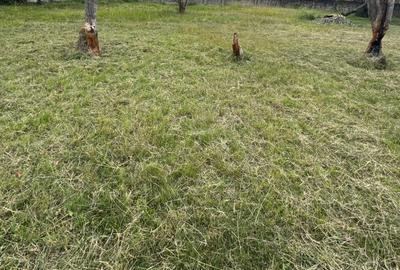 Residential Land in Ngong