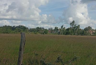 Land in Karen - 4