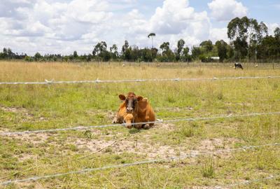 0.045 ac Land in Nanyuki