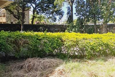 Residential Land in Nyali Area