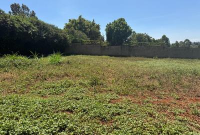 1 ac Residential Land in Runda - 2