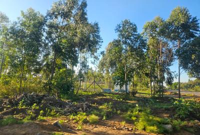 Land at Kamangu