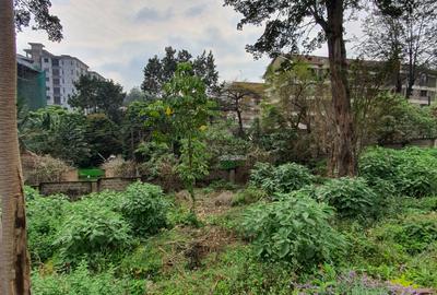 0.9 ac Land at Rhapta Road - 3