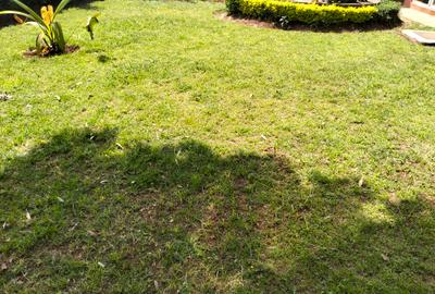 5 Bed Townhouse with En Suite in Lavington