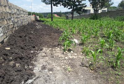 0.125 ac Residential Land in Ongata Rongai