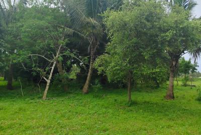 8 ac Land at Vipingo