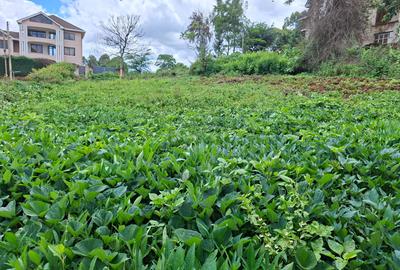 Residential Land in Runda - 4