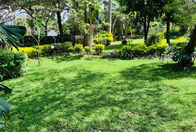 Commercial Property with Garden at Westlands