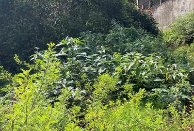 0.725 ac Residential Land in General Mathenge
