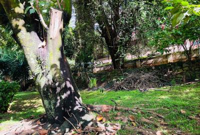 Land in Lavington
