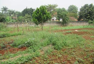 Residential Land at Runda