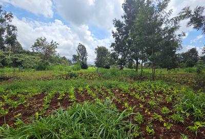 Commercial Property with Service Charge Included at Mutuini Primary - 4