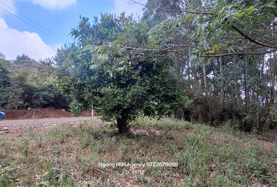 Residential Land at Kerarapon Drive - 4
