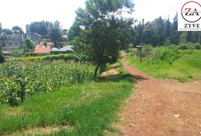 0.25 ac Land at Mwimuto