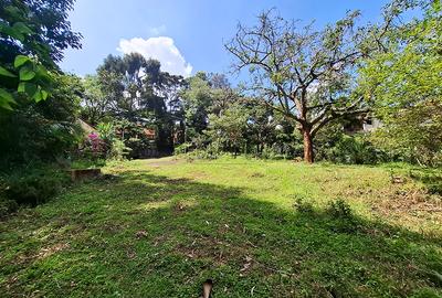 1.49 ac Land in Riara Road