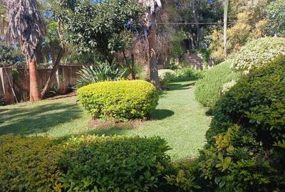 Commercial Property with Service Charge Included in Lavington - 2