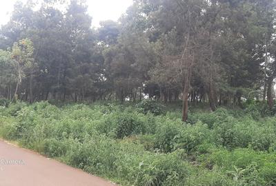 Land in Redhill - 4