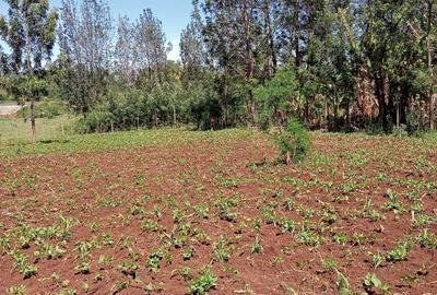 0.045 ha Residential Land at Kikuyu Kamangu