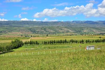 Land at Kongoni