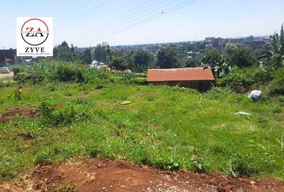 0.25 ac Land at Rwaka