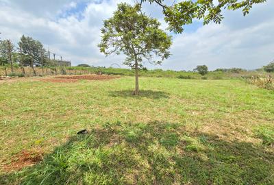 Residential Land at Runda Garden - 2