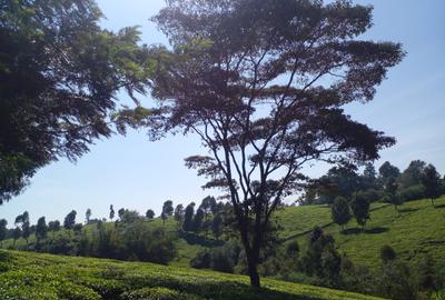 5 ac Land at Tigoni - 2