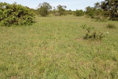 36,423 m² Land in Narok