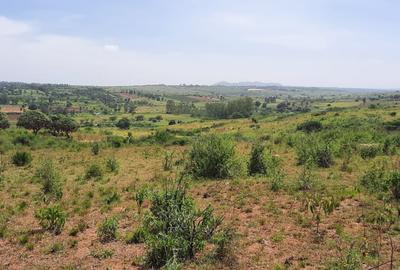 Land at Ngoliba