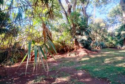 0.8 m² Residential Land in Lavington