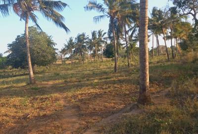 Land at Mavueni Kaloleni Road